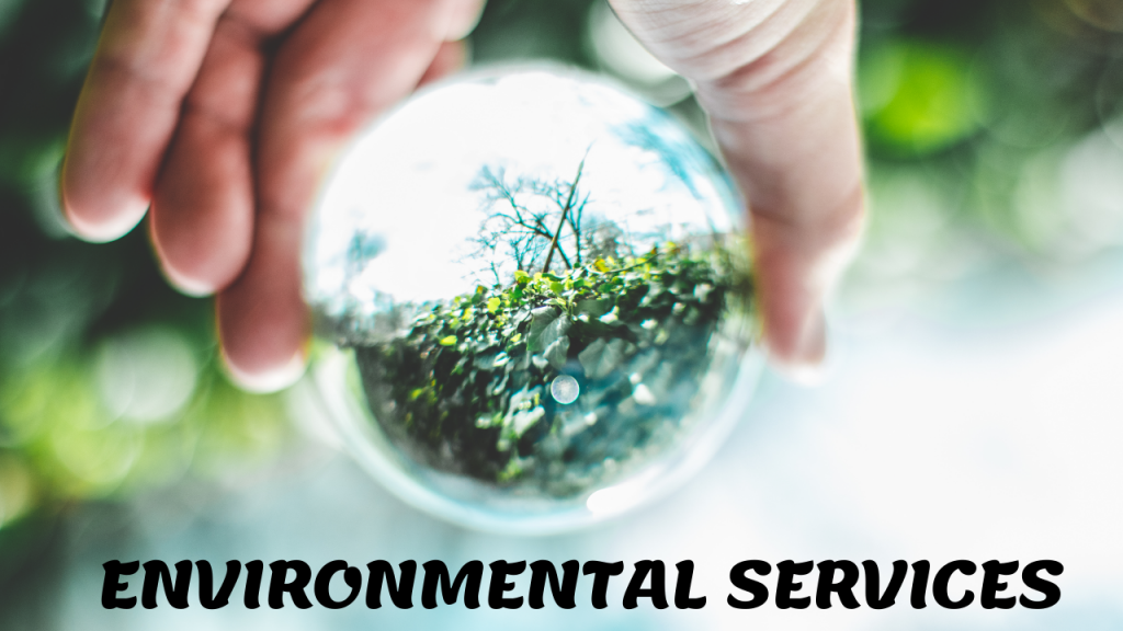 Environmental Services